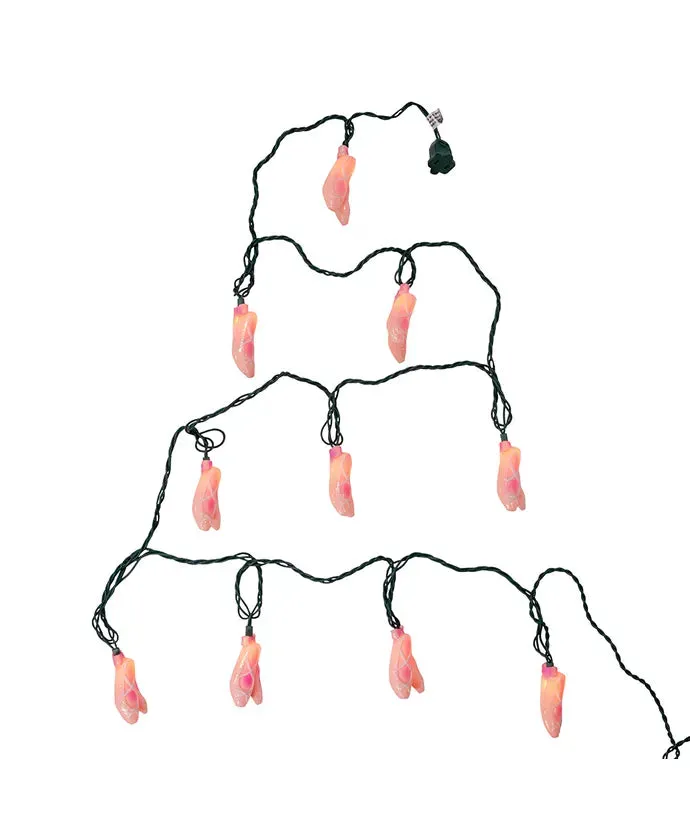 10 Light Ballet Slippers Light Set